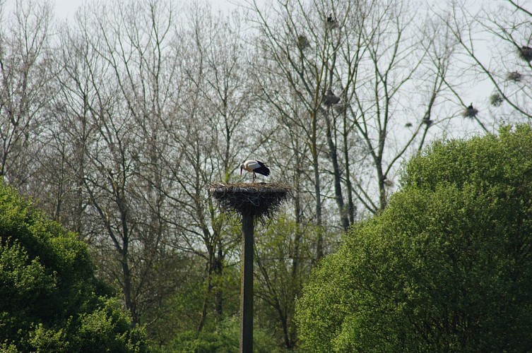 Canal de Nantes à Brest et son halage