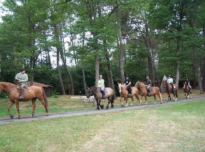 Club hippique de Lavigne