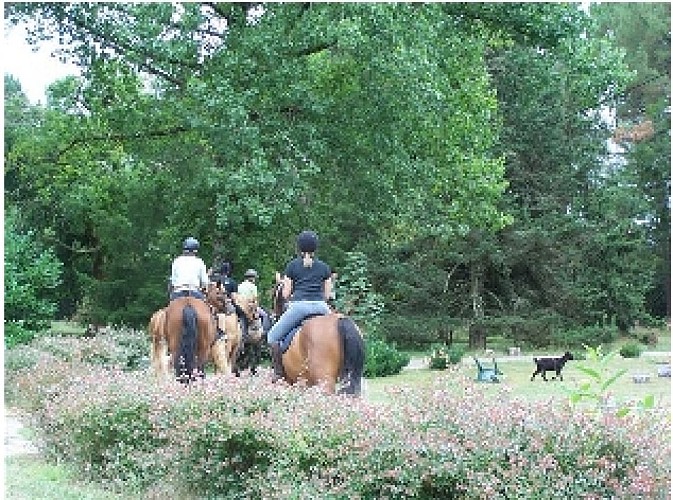 Club hippique de Lavigne