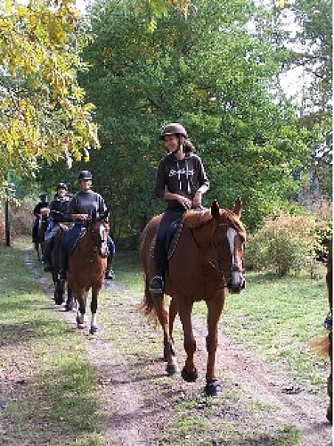 Balades à cheval Taris Moustey (2).