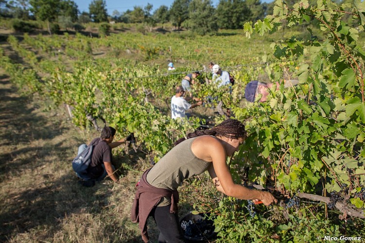 Domaine viticole Val d'Iris