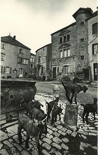 VISITE GUIDÉE - Place des Halles et maisons Renaissance