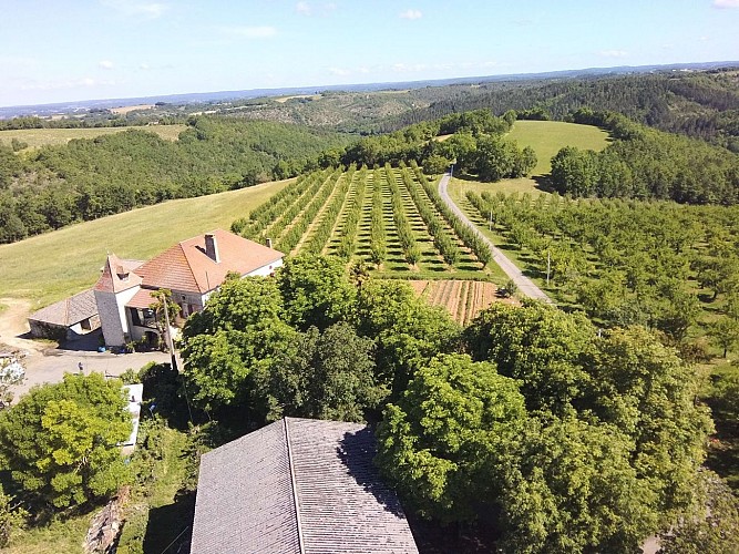 198065210_3802627453199510_5944993735287431581_n