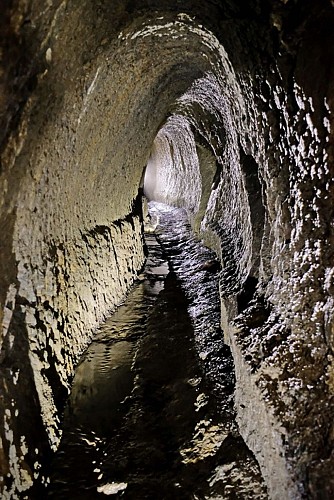 L’areine de la Chartreuse