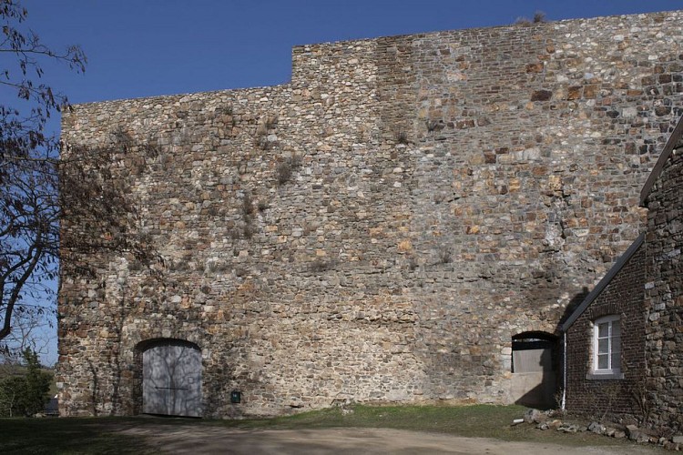 Les vestiges du château des comtes de Dalhem