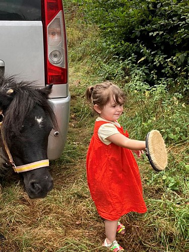 ÉCURIES DES CRINS D'ARGENT_2