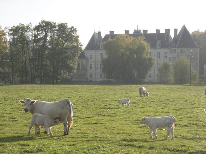 CHATEAU DE SAINT- LOUP-NANTOUARD_11