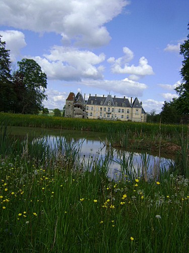 PARC DU CHATEAU DE SAINT- LOUP-NANTOUARD_6