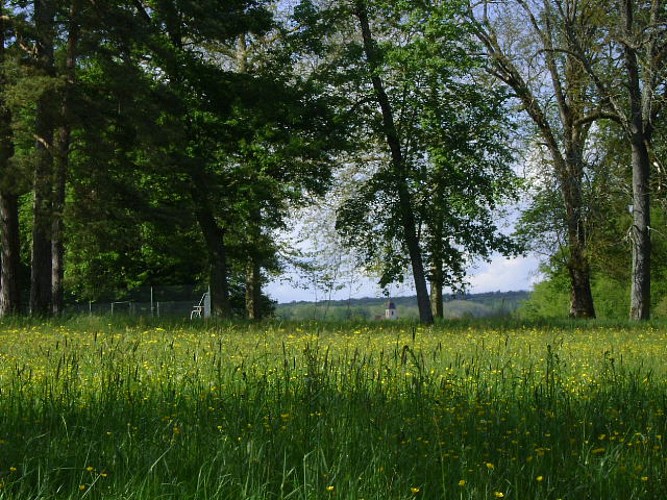 PARC DU CHATEAU DE SAINT- LOUP-NANTOUARD_2
