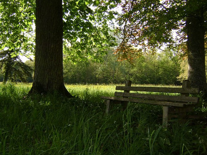 PARC DU CHATEAU DE SAINT- LOUP-NANTOUARD_5
