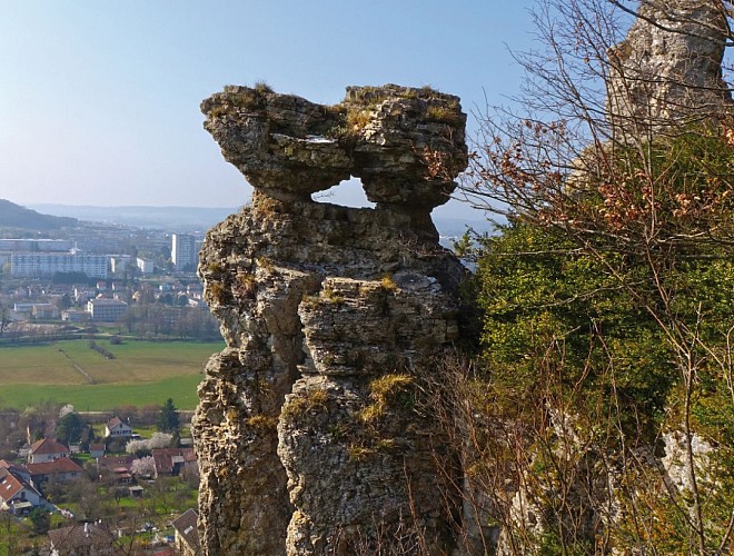 RESERVE NATURELLE DU SABOT_1