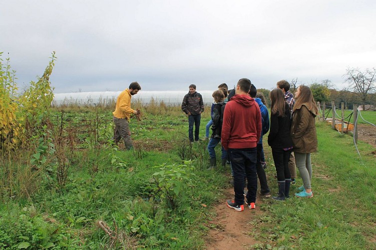 MAISON DE LA NATURE DES VOSGES SAÔNOISES_5