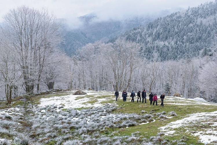LE PARC NATUREL REGIONAL DES BALLONS DES VOSGES_2