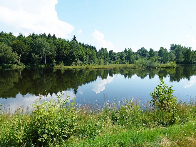 LE PARC NATUREL REGIONAL DES BALLONS DES VOSGES_3