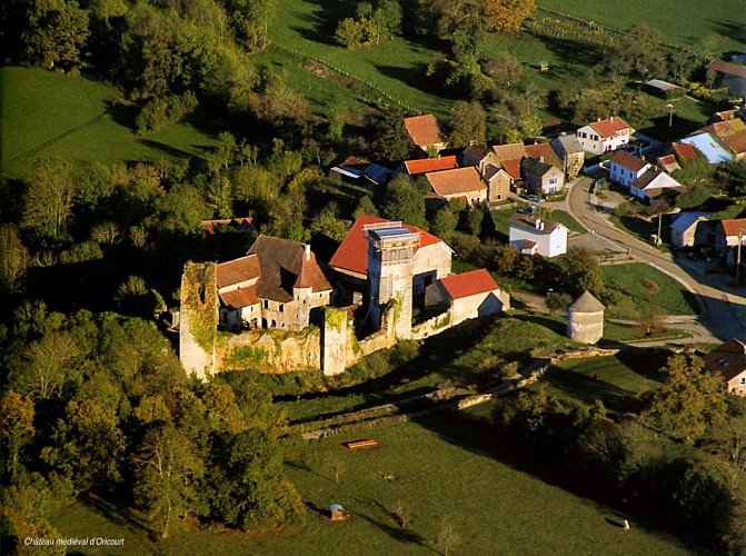 Village et château fort, vu d'avion
