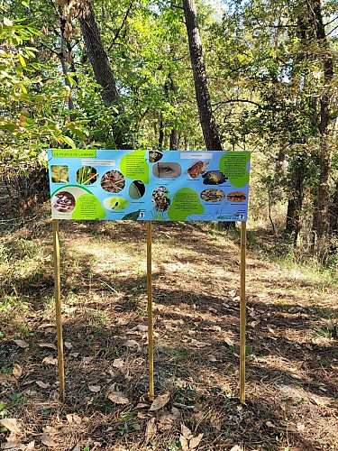 Site-charbonniere-St-Geraud-panneau-mare-portrait-vallee-isle-perigord