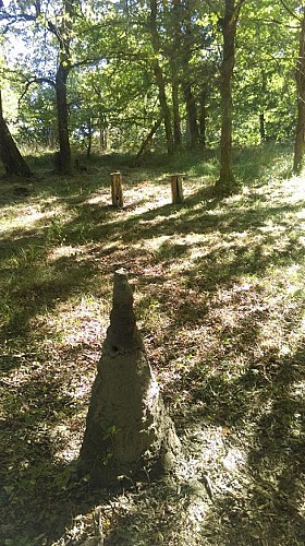 Site de la Charbonnière - Patrimoine paysan du Landais