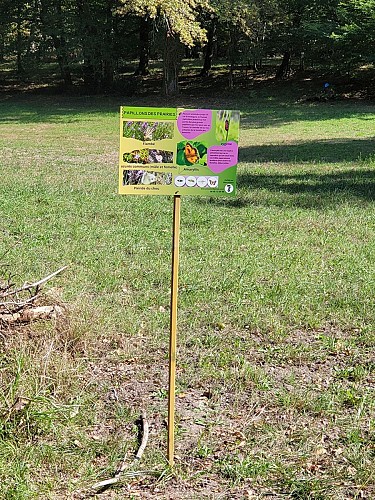 Site-charbonniere-St-Geraud-panneau-papillon-vallee-isle-perigord