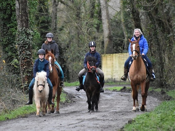 Centre équestre des Picotains - Basseneville - Balades en famille