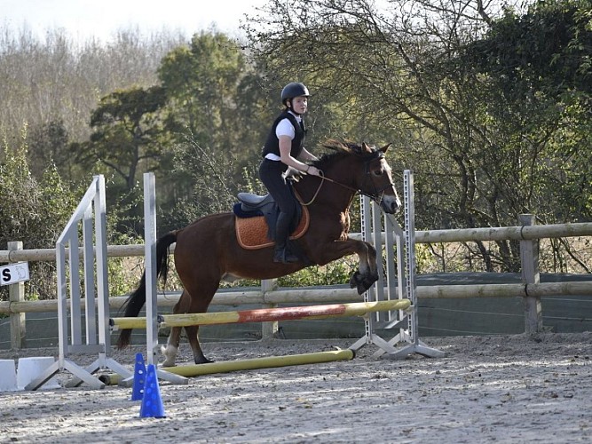 Centre équestre des Picotains - Basseneville- CSO Jumping