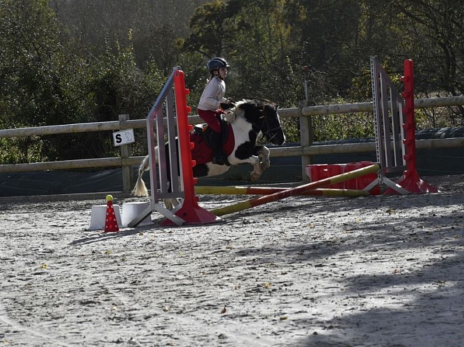 Centre équestre des Picotains - Basseneville - CSO Jumping 2