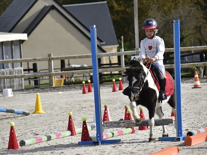 Centre équestre des Picotains - Basseneville - Equifun