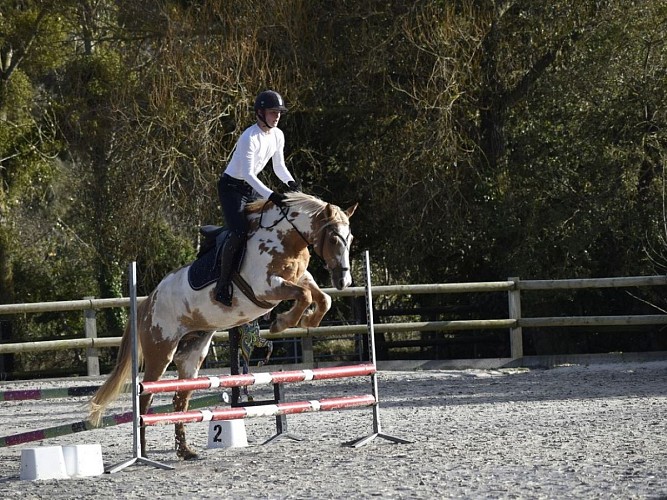 Centre équestre des Picotains - Basseneville - CSO Jumping adulte