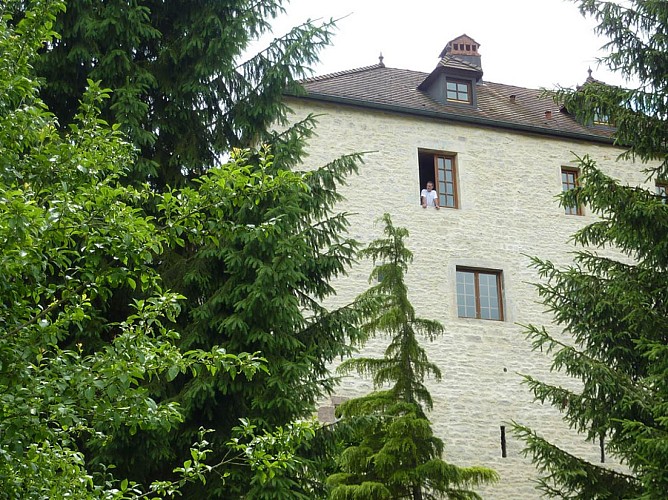 CHAMBRES D'HOTES MANOIR SAINT PIERRE_7