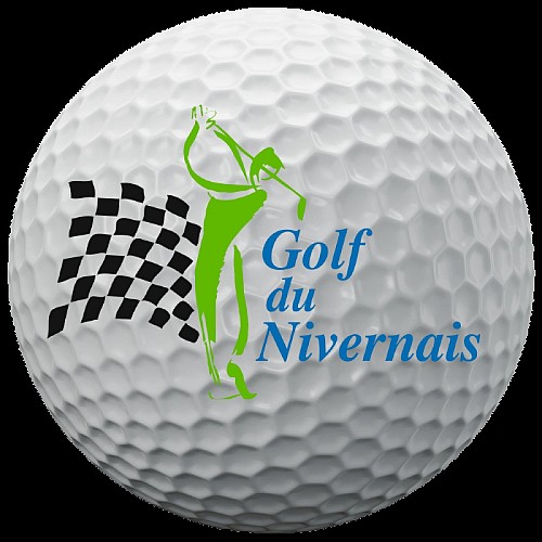 BALLE LOGOTE FOND TRANSPARENT - 1