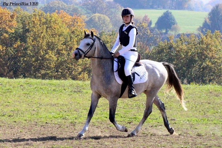 Centre équestre - Haras de Valdor