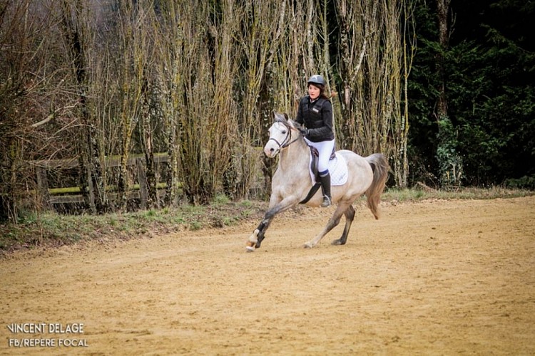 Centre équestre - Haras de Valdor