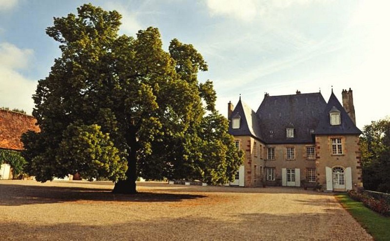 Château du Riau