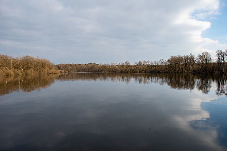 Réserve naturelle Etangs de Luchy