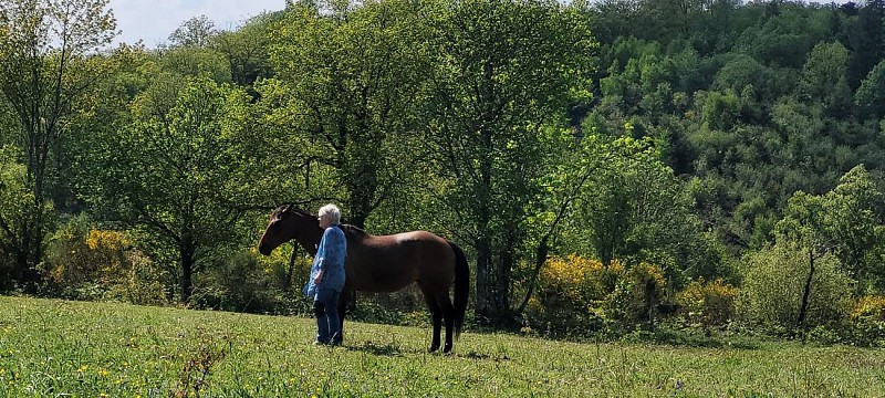 Centre équestre - Ranch Tashunka