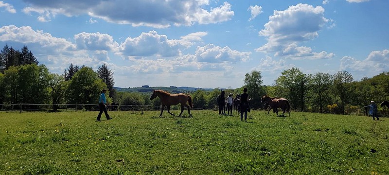 Centre équestre - Ranch Tashunka