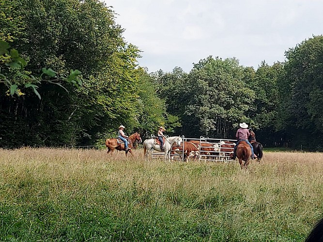 Centre équestre - Ranch Tashunka