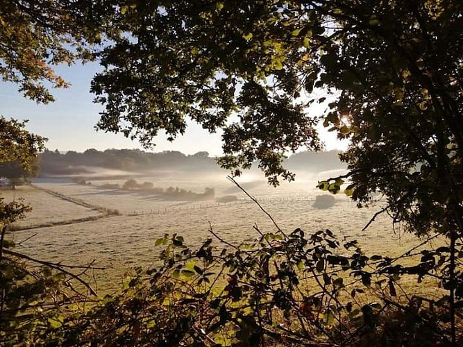 LA PETITE MAISON EN PIERRE