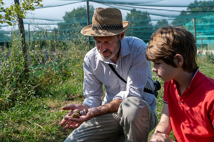 escargots visite 2024 web-15