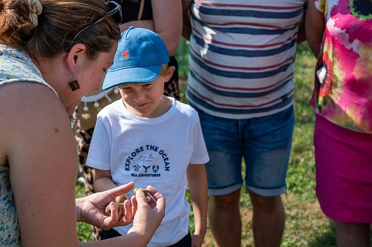 escargots visite 2024 web-5