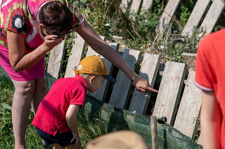 escargots visite 2024 web-12