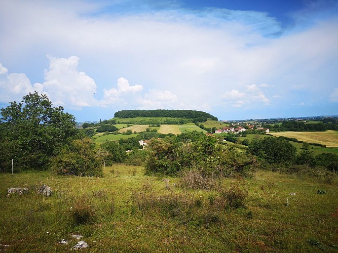 Wandelpad - Chante Cigale