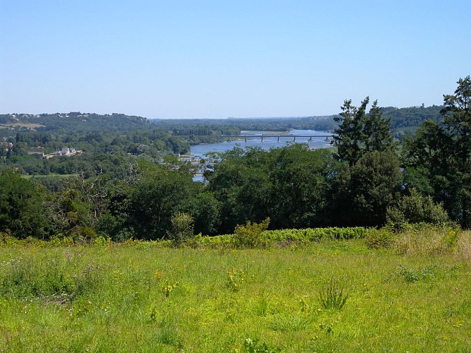 Panorama sur la Vallée de La Loire