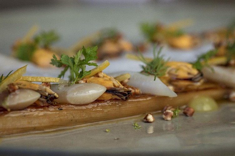 Ilharreguibaita_plat3