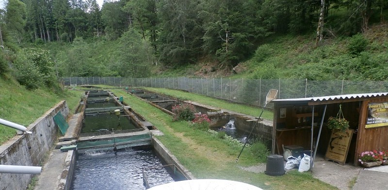 Pisciculture du Moulin de Grandsaigne_1