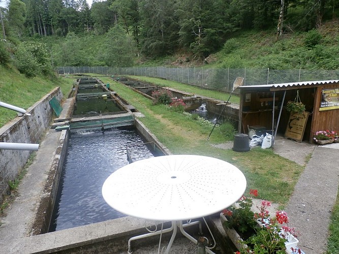 Pisciculture du Moulin de Grandsaigne_2