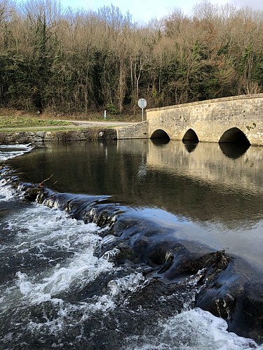 pont neuf 