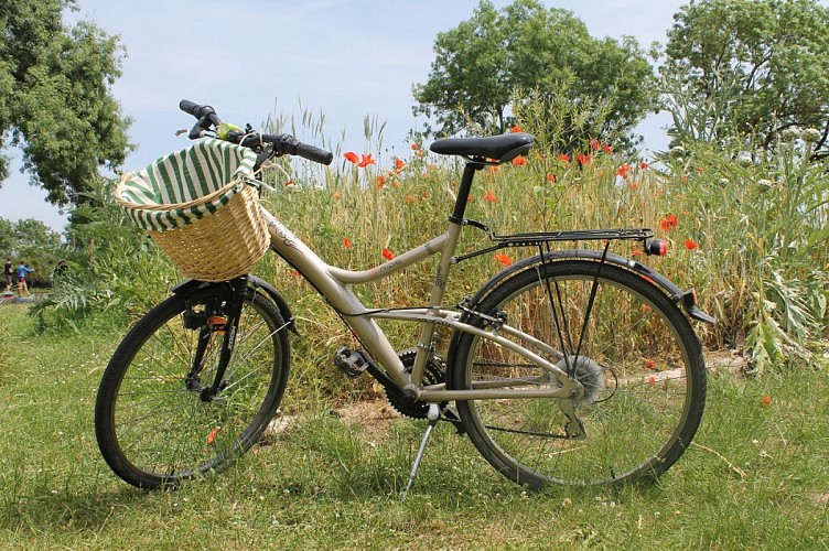 QUAI VERT - LE SNACK