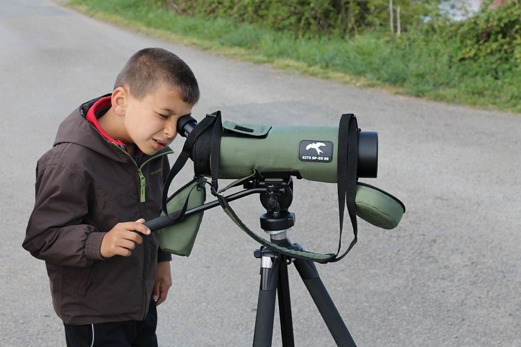 QUAI VERT - LE SNACK
