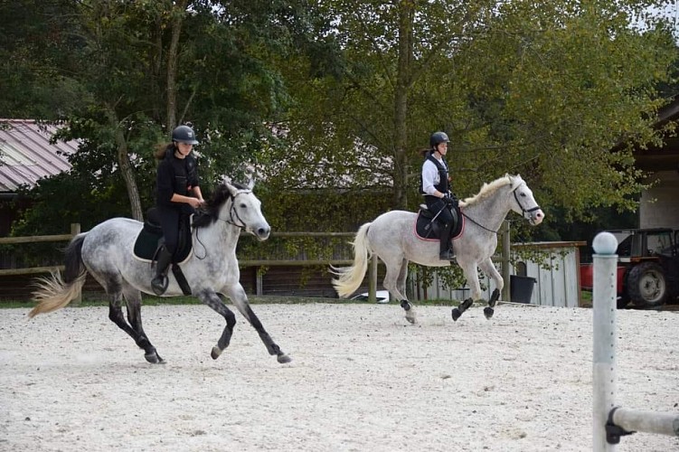 394304840_799775878613821_3012409185132531392_n