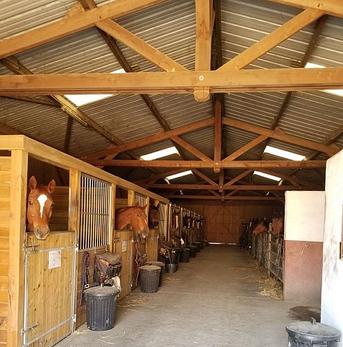 Pension, débourrage - Les écuries de la Tuilière_2